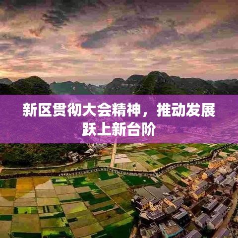 新區(qū)貫徹大會精神，推動發(fā)展躍上新臺階