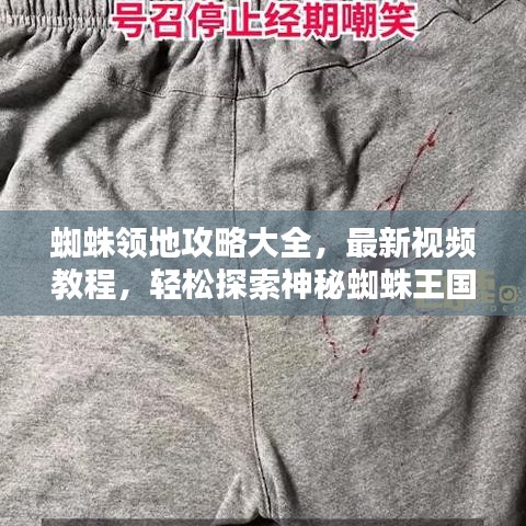 蜘蛛領地攻略大全，最新視頻教程，輕松探索神秘蜘蛛王國！