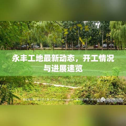 永豐工地最新動態(tài)，開工情況與進展速覽