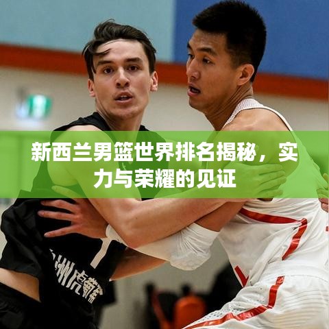 新西蘭男籃世界排名揭秘，實(shí)力與榮耀的見證