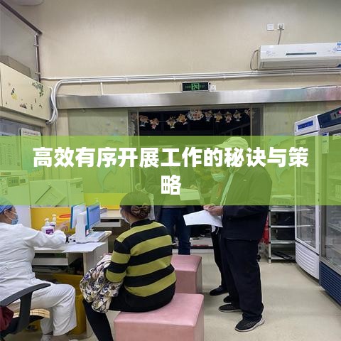 高效有序開(kāi)展工作的秘訣與策略