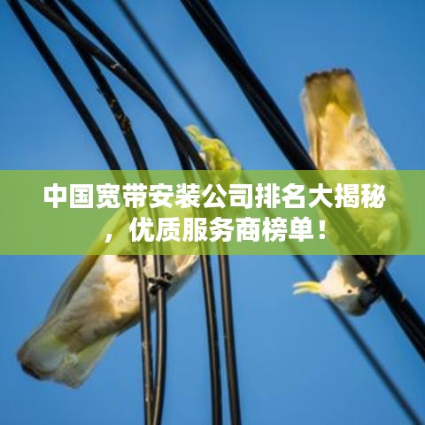 中國寬帶安裝公司排名大揭秘，優(yōu)質(zhì)服務(wù)商榜單！