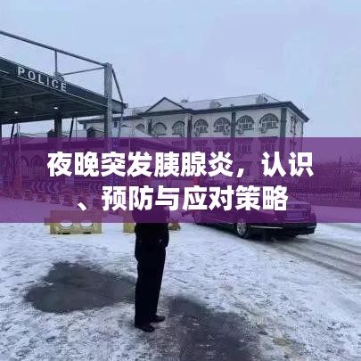 夜晚突發(fā)胰腺炎，認識、預防與應對策略