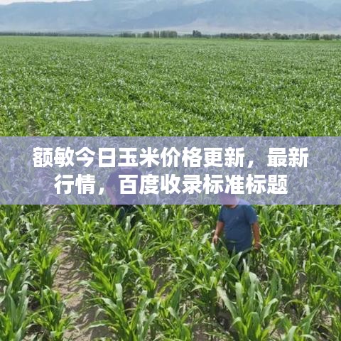 額敏今日玉米價(jià)格更新，最新行情，百度收錄標(biāo)準(zhǔn)標(biāo)題