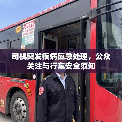 司機(jī)突發(fā)疾病應(yīng)急處理，公眾關(guān)注與行車安全須知
