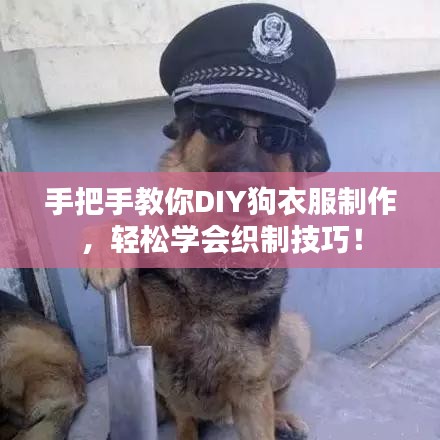 手把手教你DIY狗衣服制作，輕松學(xué)會織制技巧！