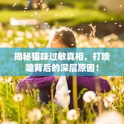 揭秘貓咪過敏真相，打噴嚏背后的深層原因！