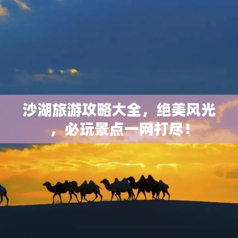 筆走如飛 第2頁(yè)
