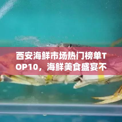 西安海鮮市場(chǎng)熱門(mén)榜單TOP10，海鮮美食盛宴不容錯(cuò)過(guò)！