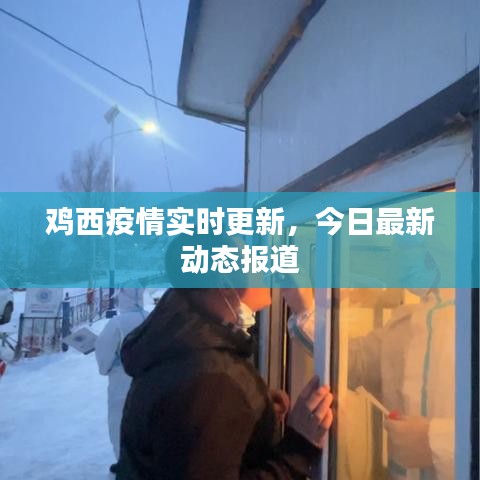 雞西疫情實(shí)時(shí)更新，今日最新動態(tài)報(bào)道