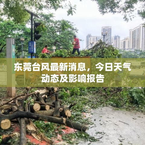 東莞臺風(fēng)最新消息，今日天氣動態(tài)及影響報告