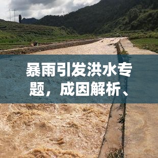 暴雨引發(fā)洪水專題，成因解析、影響評(píng)估與應(yīng)對(duì)策略