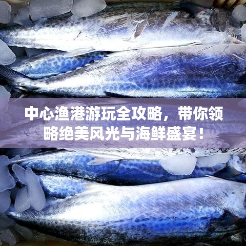 中心漁港游玩全攻略，帶你領(lǐng)略絕美風(fēng)光與海鮮盛宴！