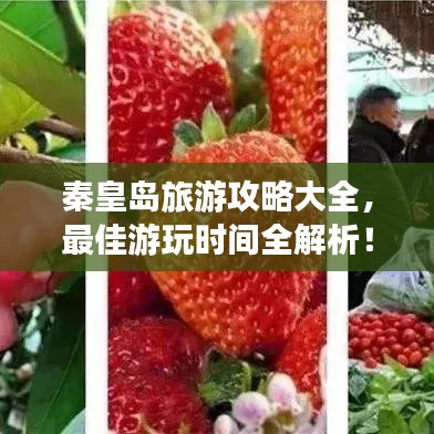 秦皇島旅游攻略大全，最佳游玩時(shí)間全解析！