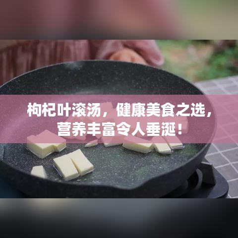 枸杞葉滾湯，健康美食之選，營養(yǎng)豐富令人垂涎！