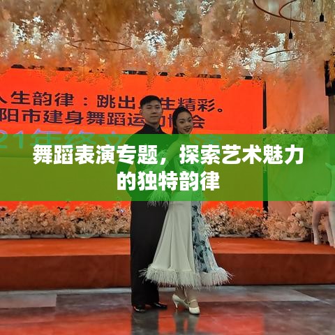 舞蹈表演專題，探索藝術(shù)魅力的獨特韻律