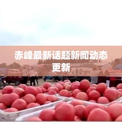 風度翩翩 第2頁