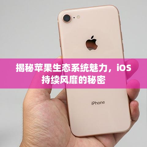 揭秘蘋果生態(tài)系統(tǒng)魅力，iOS持續(xù)風靡的秘密