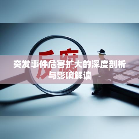 突發(fā)事件危害擴大的深度剖析與影響解讀