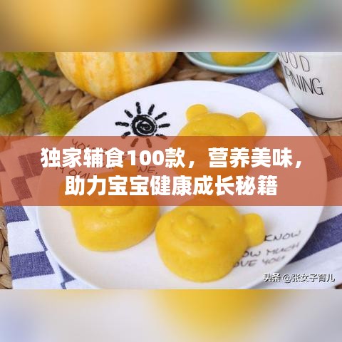 獨家輔食100款，營養(yǎng)美味，助力寶寶健康成長秘籍