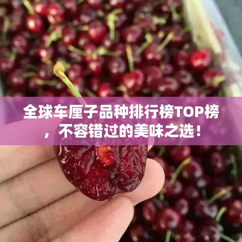 全球車(chē)?yán)遄悠贩N排行榜TOP榜，不容錯(cuò)過(guò)的美味之選！
