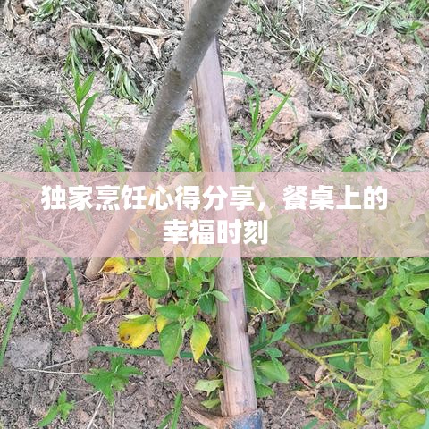 獨(dú)家烹飪心得分享，餐桌上的幸福時(shí)刻